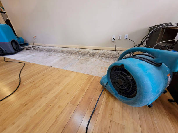Professional Flood Damage Cleanup technician working in Lake Stevens, WA